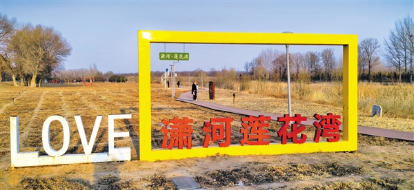 尽享春日_美妙时光