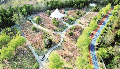 p2_b.jpg