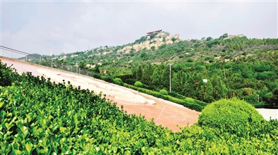 p2_b.jpg