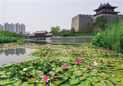 0711-W01B-001-145275_b.jpg