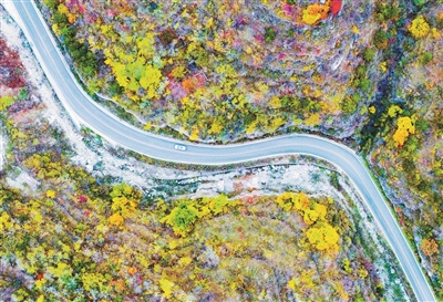 3685873_gaoq_1730032398970_b.jpg