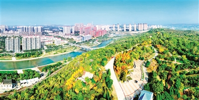 p1_b.jpg